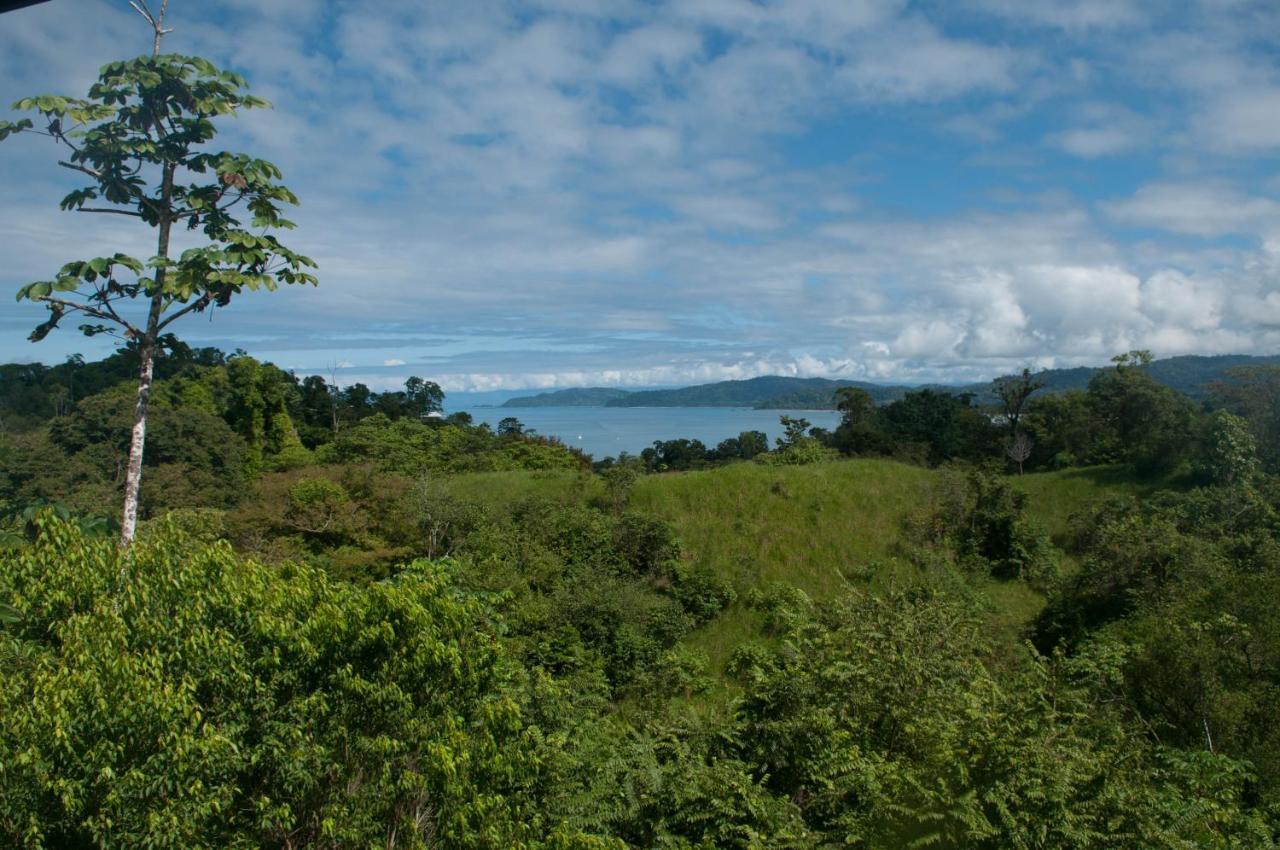 Drake Bay Greenleaf Exterior foto